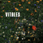 Vitales_EP9_PAQUERETTE.mp3