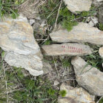 Fil-de-l-art2024-frontiers-Kim-Dosoung.mp3
